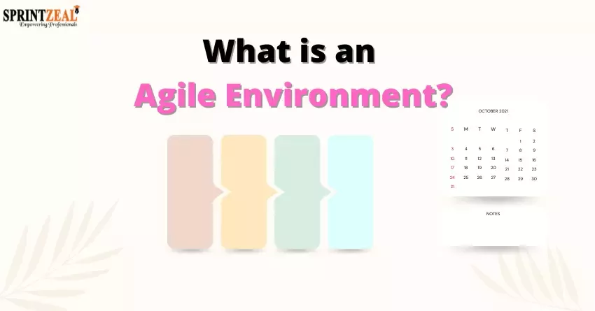 Agile Environment Guide