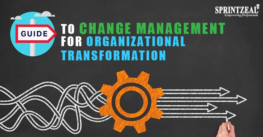 Guide to Change Management for Organizational Transformation