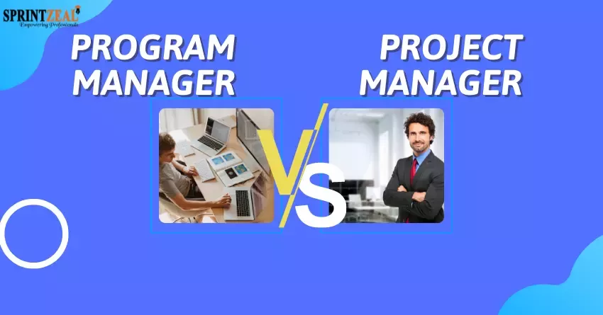 Program Manager vs Project Manager - Comparison of Roles and Careers