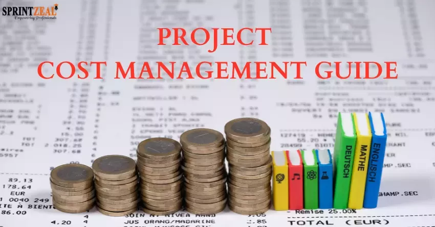 Project Cost Management Guide 2022