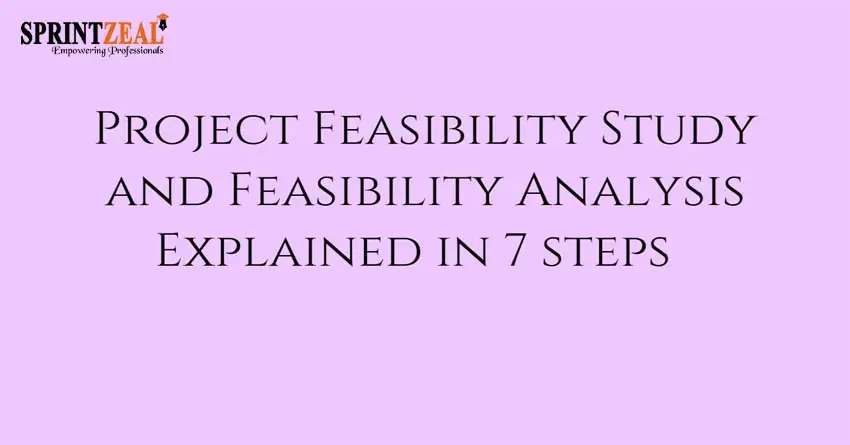 Project Feasibility Study in Seven Steps