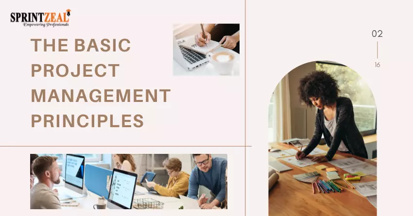 Project Management Principles - 12 Essentials