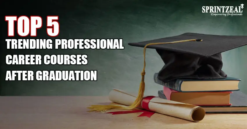 Top 5 Professional Career Courses to Consider after Graduation